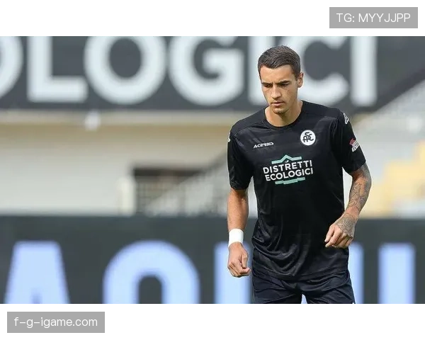 斯佩齐亚表现持续攀升，战术革新与新星崛起成亮点