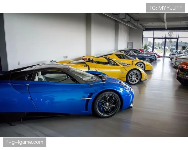 恩佐·费尔南德斯这孩子球场上拼命，私下却被爆狂买豪车堆满仓库了？